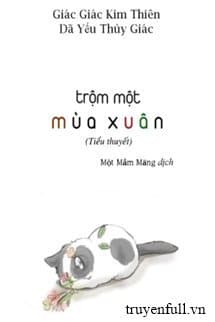 Trộm Một Mùa Xuân audio mới nhất