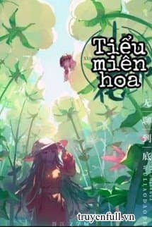 Tiểu Miên Hoa audio mới nhất