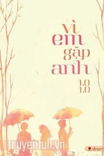 Vì Em Gặp Anh audio mới nhất