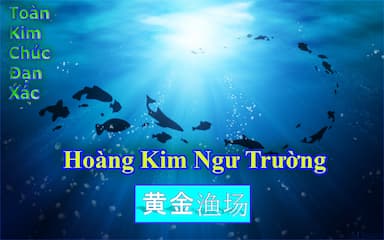 [Dịch]Ngư Trường Hoàng Kim