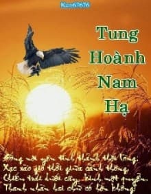 [Việt Nam] Tung Hoành Nam Hạ audio mới nhất