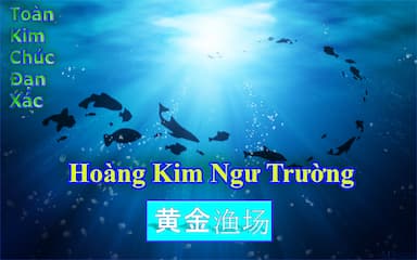 Hoàng Kim Ngư Trường