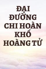 Đại Đường Chi Hoàn Khố Hoàng Tử