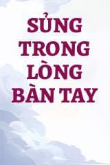 Sủng Trong Lòng Bàn Tay