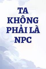 Ta Không Phải Là NPC