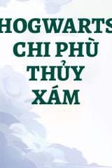 Hogwarts Chi Phù Thủy Xám